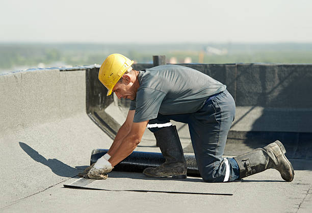 Best Insulation Maintenance and Repair in Greensboro, GA